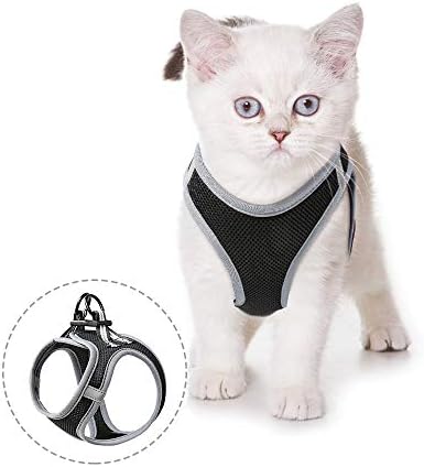 RAINDEE Cat Harness, Мек Мрежест Котешки жилетка Harness, Подходящи за малки, Средни и Големи Котки, Дишащ, Удобен Пет