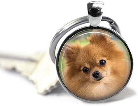 Снимка на померанского шпиц на брелке , Куче Паметник Снимка подарък,сувенир за спомен ключодържател