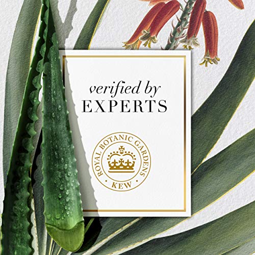 Herbal Essences Bio: RePotent Aloe + Mango Conditioner for Къдрава Коса на 13.5 Fl Oz, 5.523 Fl Oz